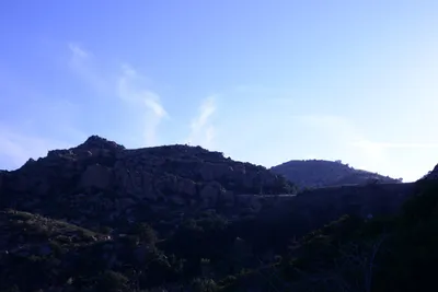 DSC_2098 (Large).JPG